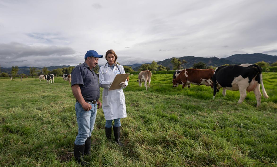 Contrôler et préserver la santé des animaux